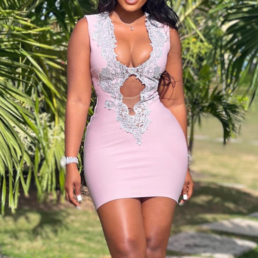 Pink and Silver Embellished Embroidered Body Con Mini Dress